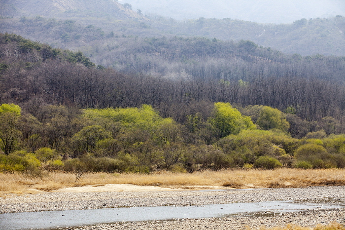 한탄강의 봄5