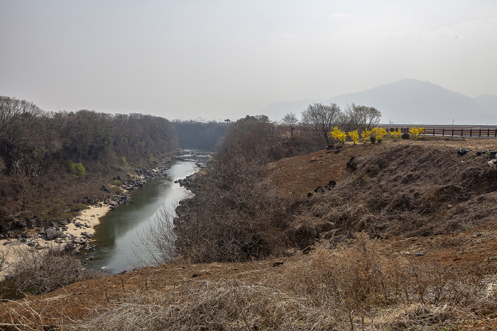 한탄강의 봄12